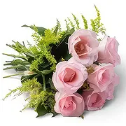 Brasilien Online Blumenhändler - Bouquet von 7 rosa Rosen Blumenstrauß