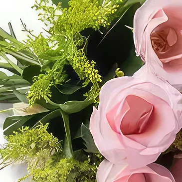 Brasília flori- Buchet de 7 trandafiri roz Buchet/aranjament floral