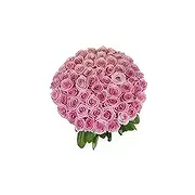 Sitrah Online Florist - 50 rosa rosor Bukett