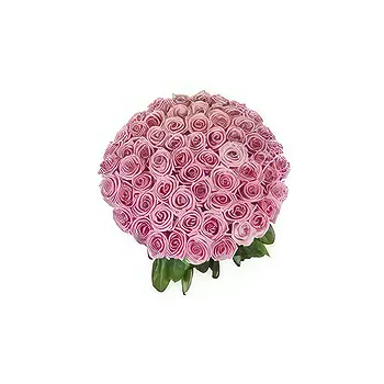 Saudi Arabia flowers  -  50 Pink Roses Flower Delivery