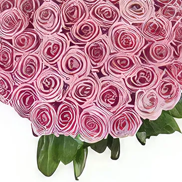 Sitrah blommor- 50 rosa rosor Bukett/blomsterarrangemang