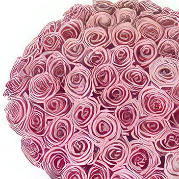 Sitrah blommor- 50 rosa rosor Bukett/blomsterarrangemang