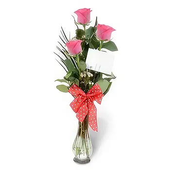 Madrid flowers  -  Pink Blush Trio Flower Delivery