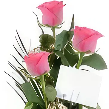 Cala Llonga flowers  -  Pink Blush Trio Flower Bouquet/Arrangement