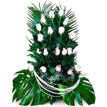 flores de Zaragoza- Simplicidade Flor Entrega