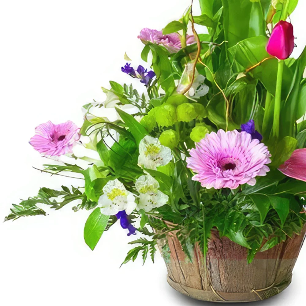 ดอกไม้ บายาโดลิด - ขบวนพาเหรดกลีบสีชมพู ช่อดอกไม้/การจัดวางดอกไม้