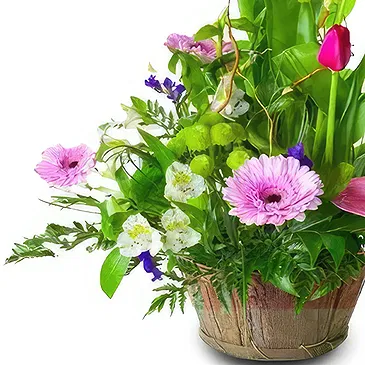 Cala Llonga flowers  -  Pink Petal Parade Flower Bouquet/Arrangement