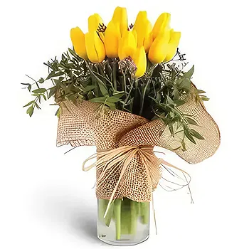 fleuriste fleurs de Hauteurs de Barsha- Forfait Jaune Fleur Livraison