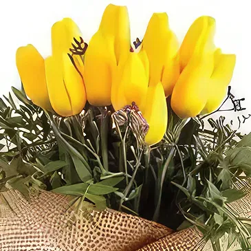 Ghadeer al tair flowers  -  Plan Yellow Flower Bouquet/Arrangement