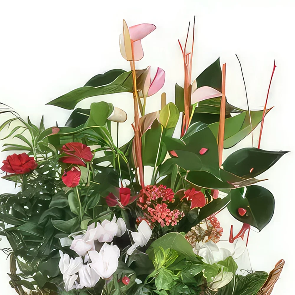 Στρασβούργο λουλούδια- Μπολ φυτών La Corbeille Fleurie Μπουκέτο/ρύθμιση λουλουδιών