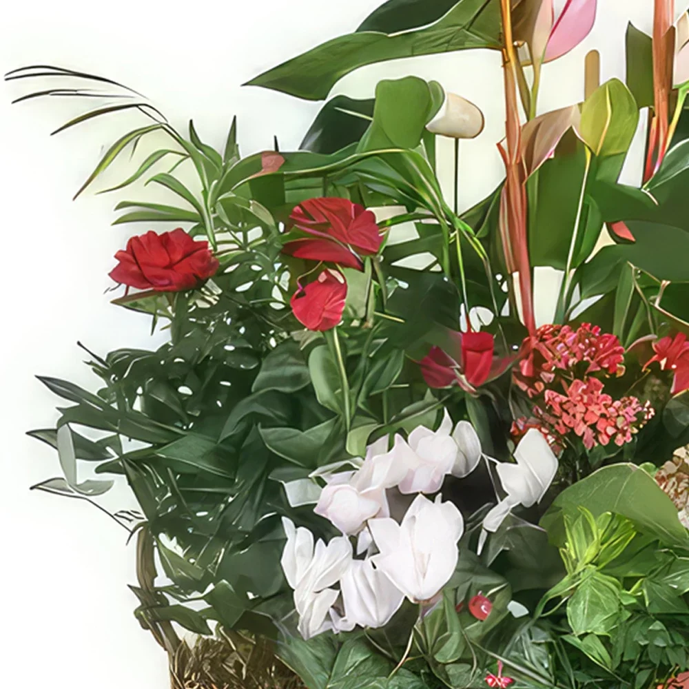 nett Blumen Florist- Pflanzschale La Corbeille Fleurie Bouquet/Blumenschmuck