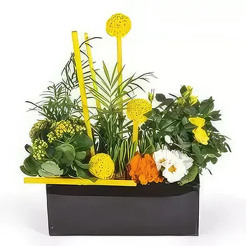 France flowers  -  Plant cut Le Jardin d'Abel Flower Delivery