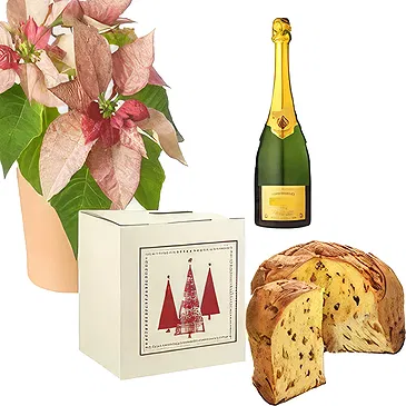 Versciaco di Sopra flowers  -  Pink Poinsettia with Panettone & Sparkling Flower Bouquet/Arrangement