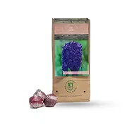 Ad Dilam Online blomsterbutikk - Peter Stuyvesant Bukett