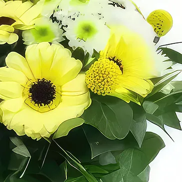 Urbes flowers  -  Prague yellow & white round bouquet Flower Bouquet/Arrangement