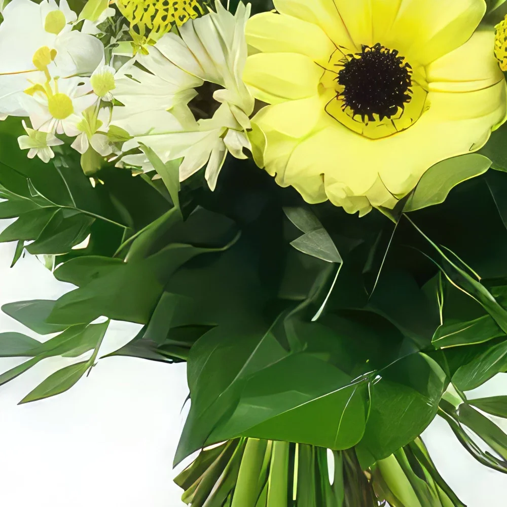 بائع زهور نانت- باقة براغ مستديرة صفراء وبيضاء باقة الزهور