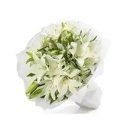 Sitrah Online Florist - Vit delikatess Bukett