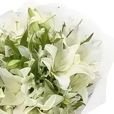 Ain Bin Fuhaid blommor- Vit delikatess Bukett/blomsterarrangemang