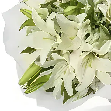 Ain Bin Fuhaid blommor- Vit delikatess Bukett/blomsterarrangemang