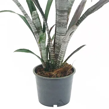 Vignone flowers  -  Billbergia plant Flower Bouquet/Arrangement