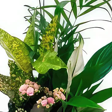 Cala Llonga flowers  -  Maid Flower Bouquet/Arrangement