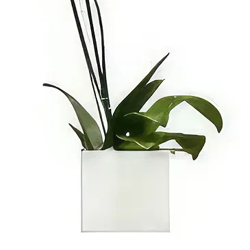 Tukuyu flowers  -  White Elegance Flower Bouquet/Arrangement