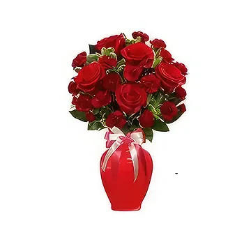 Saudi Arabia flowers  -  Red Roses & carnitions  Flower Delivery