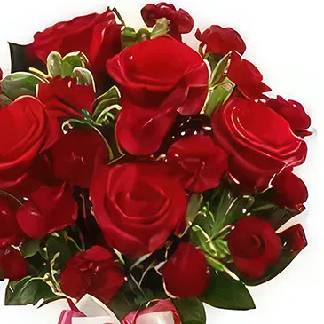 Sitrah blommor- Röda rosor & nejlikor Bukett/blomsterarrangemang
