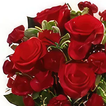 Sitrah blommor- Röda rosor & nejlikor Bukett/blomsterarrangemang