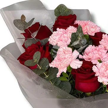 Garhoud flowers  -  Premium Red Roses and Pink Carnations Flower Bouquet/Arrangement