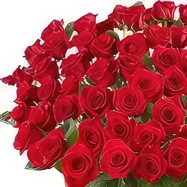 Ad Dilam blomster- 100 roser i en vase Blomsterarrangementer bukett
