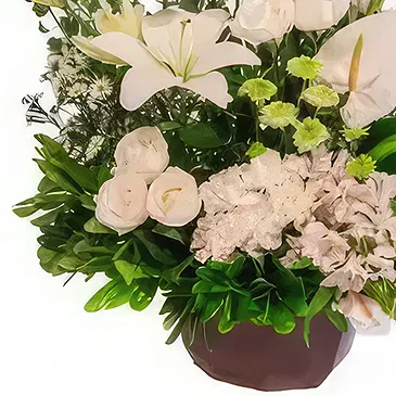 Coatzingo flowers  -  Paradise Flower Bouquet/Arrangement