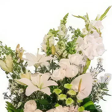Coatzingo flowers  -  Paradise Flower Bouquet/Arrangement