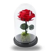 Jette Fleuriste en ligne - Rose préservée Bouquet