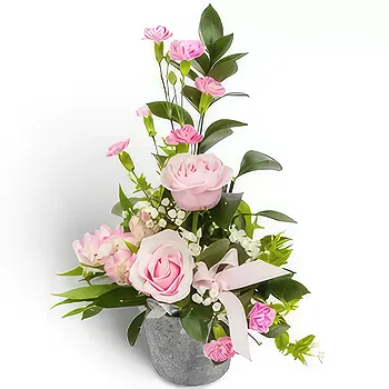 Antias flowers  -  Tied to Happiness Flower Delivery