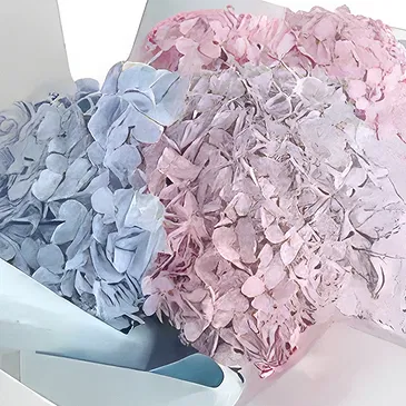 Discovery garden flowers  -  Pretty Rhythm Flower Bouquet/Arrangement