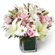 Al-Muwaihat 2 Online Blumenhändler - Ziemlich weich Blumenstrauß