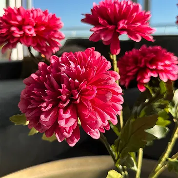 Halta blomster- Punchy rosa blomster Blomsterarrangementer bukett