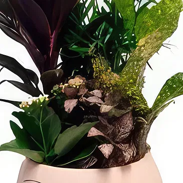 Spain flowers  -  The Holly Flower Bouquet/Arrangement