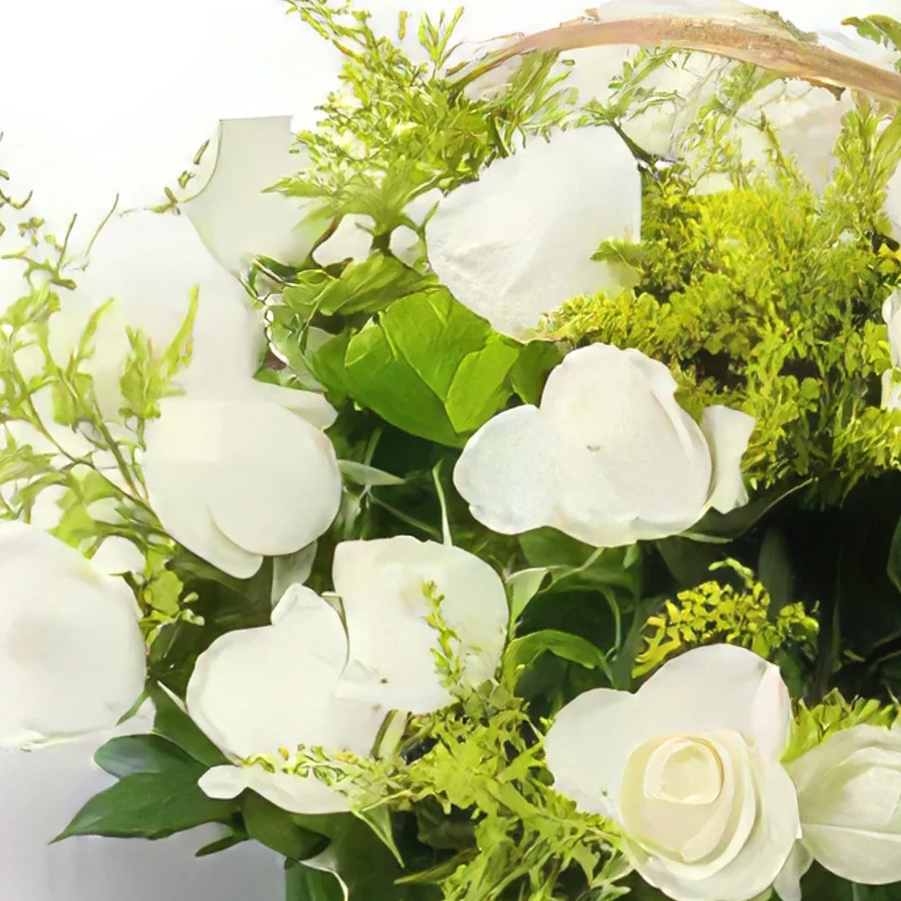 Belém kvety- Kôš s 24 bielymi ružami Aranžovanie kytice