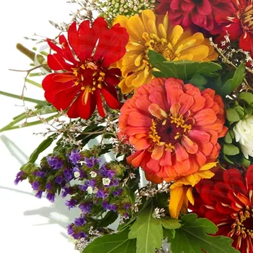 fiorista fiori di Firenze- Bouquet di margherite colorate Bouquet floreale