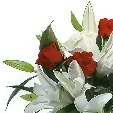 Macuilacatl Chico flowers  -  Beauty and beast Flower Bouquet/Arrangement