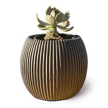 Adma flowers  -  Arrangement 4 Flower Delivery