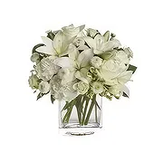 Ad Dilam Online blomsterbutikk - Ren ånd Bukett