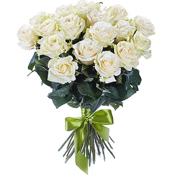 Holland flowers  -  12 White Roses Flower Delivery