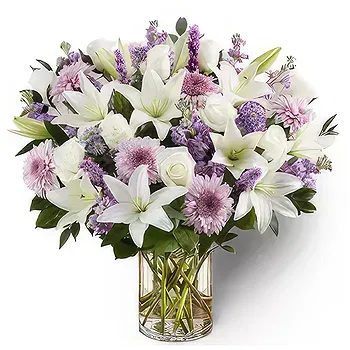 United Arab Emirates flowers  -  Purple Innocence  Flower Delivery