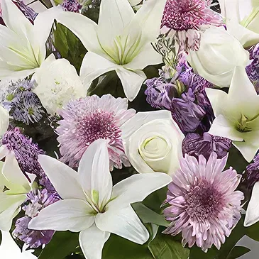 Garhoud flowers  -  Purple Innocence  Flower Bouquet/Arrangement