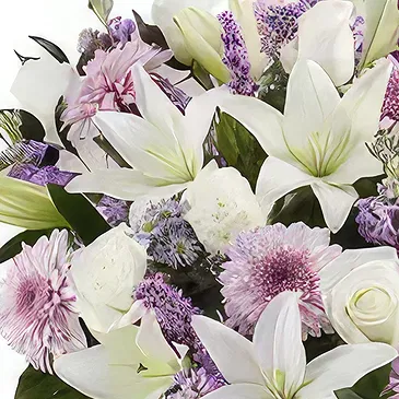 Garhoud flowers  -  Purple Innocence  Flower Bouquet/Arrangement