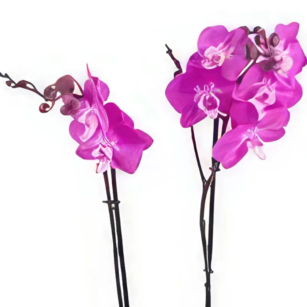 Hannover kwiaty- fioletowy połysk Bukiet ikiebana