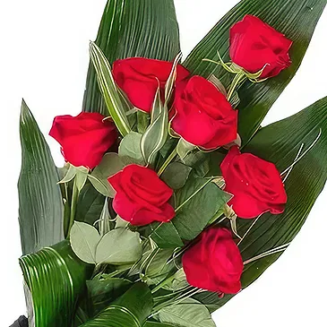 Barcelona flowers  -  Glowing Tribute Bouquet Flower Bouquet/Arrangement